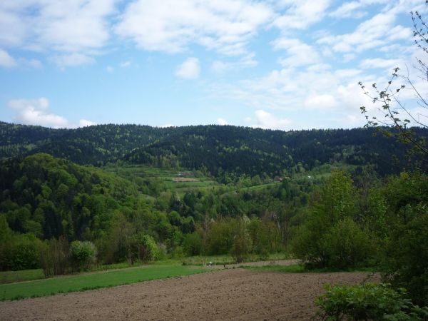 Górna część Harbutowic.Role Guzikówka i Szczerbakówka. W głębi pasmo Babicy.