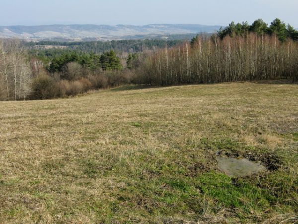 poidło - naturalny lub sztuczny zbiornik z wodą, z którego korzysta zwierzyna.