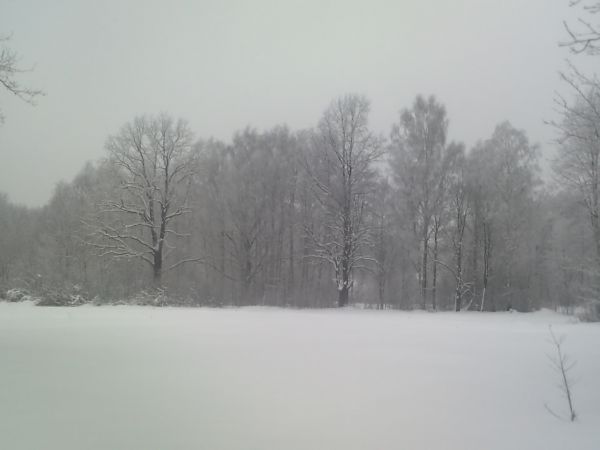 Piękna malownicza miejscowość położona między stawami zapraszam