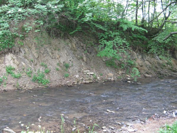 jak bardzo przejrzysta woda - koryto "czytać" można, no a nota ? cóż ! ważne, by obraz był "sympatyczny" i radosne chwile przywoływał .