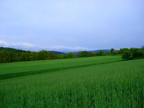 Okolice Małej Kamienicy