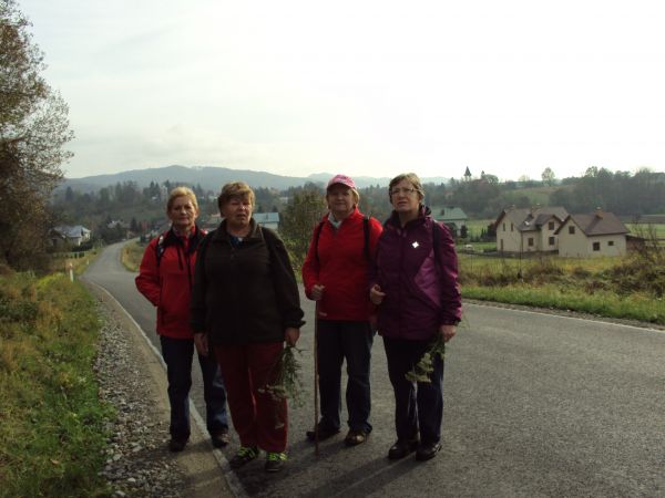 do wsi wchodzimy, po lewej na wzgórzu widoczna wieża cerkiewna a po prawej wieżę kościelną widać. Hen : na wzgórzu /już za Sanem/ "Las Selpy", to przez niego śc