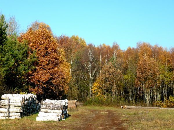 zdjecie Wola Wężykowa