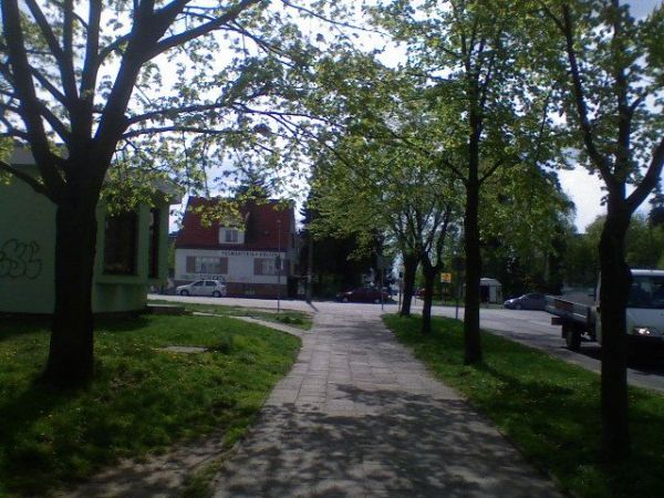 zdjecie Zielona Góra