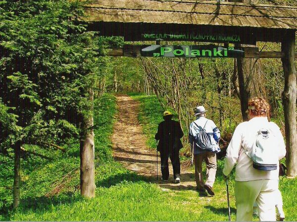 na Ścieżkę Przyrodniczo-Dydaktyczną rezerwatu "Polanki" - wchodzimy. Wspomnieć też należy, że zanim dotrzemy do wiaty początkowej to ok. 20m wcześniej - w miejs