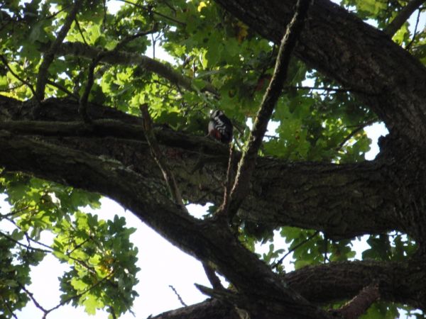 zdjecie Piłatowszczyzna