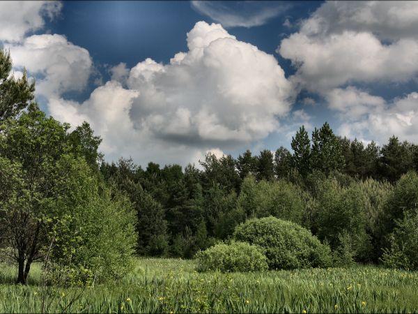 zdjecie Tyniewicze Duże