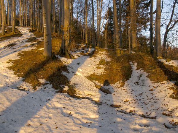 Na niebieskim szlaku-Rytro