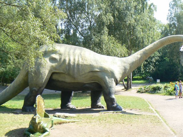 DOLINA DINOZARÓW-ZOO