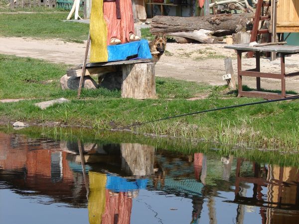 zdjecie Szumleś Królewski