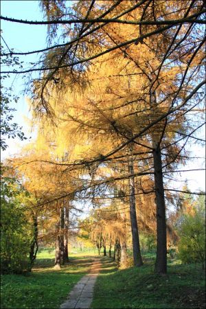 Kościół pw. św. Mikołaja i Stanisława biskupa w Jarosławiu przy ulicy Benedyktyńskiej. Przez starszych mieszkańców zwany Anna Kasarnia, został zbudowany w latac