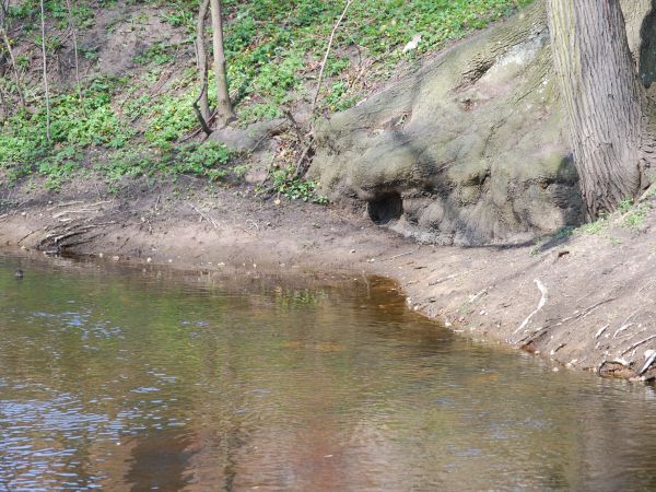 Rzeka Krępa - Marianowo