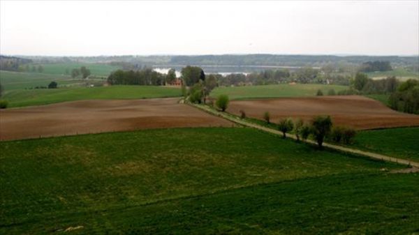 zdjecie Widryny