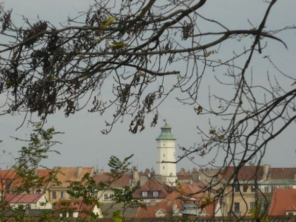 zdjecie Sandomierz