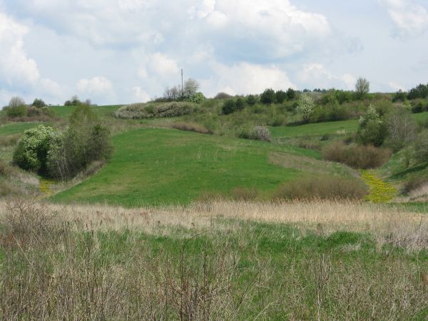 przysiółek Korskie a za nim /niewidoczna na zdjęciu/ Szymanowa Góra - 478m npm - zalesione wzgórze, po prawej od drogi: Tarnawa Górna - Łukowe /tam: "Chutor Koz