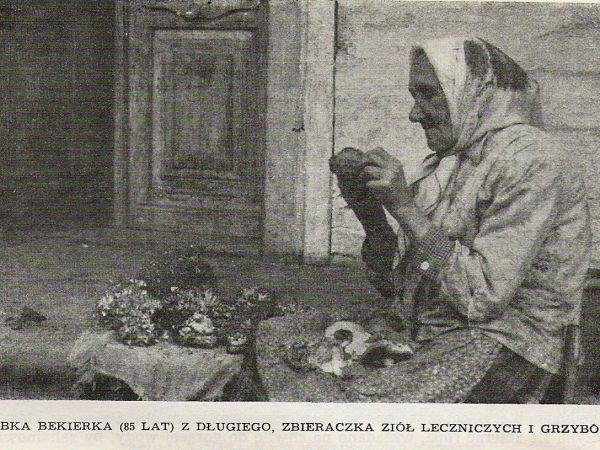 ze zbiorów prywatnych: lata 60-te XX wieku - z publikacji historycznych/ przewodnickich.