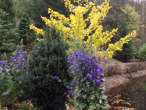 są barwy i kolory - podziwiać i zachwalać będziemy, jak tu za każdym razem !