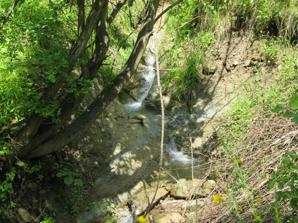 Potok Wujski - a może to : na razie strumyk, ruczaj co kaskadami / szumami / szypotami swe krystalicznie czyste wody toczy ?