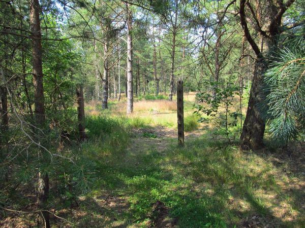 Pozostałość po ogrodzeniu lotniska w Borsku