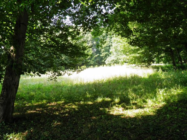 Park wokół Pałacu w Wysocku k. Jarosławia . W XVII wieku należał do Królowej Marysieńki Sobieskiej. Obecnie Dom Pomocy Społecznej.