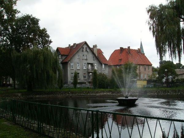 Staw w parku