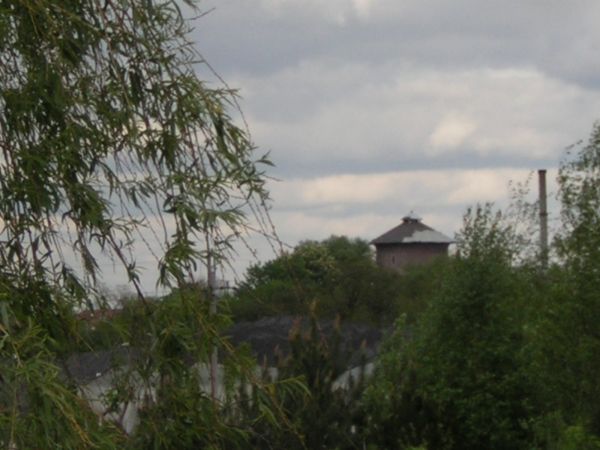 zdjecie Sulechów