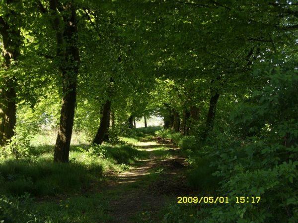 zdjecie Chocicza Mała