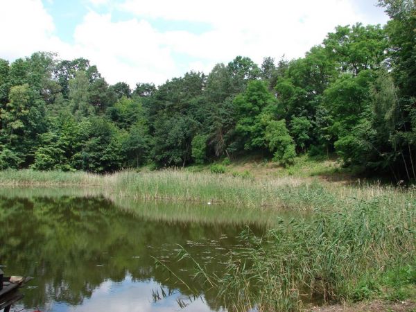 W latach 50-tych był to idealny teren do gier terenowych dla harcerzy ze Szkoły Podstawowej w Karbowie. Obecnie pagórki wokół stawu porośnięte  licznymi drzewam