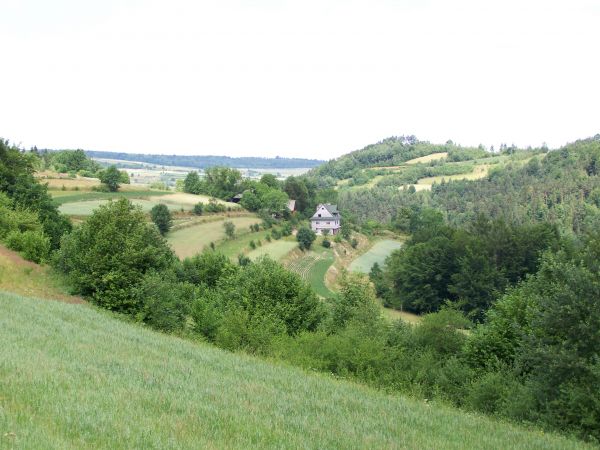 Harbutowice. Chodników.