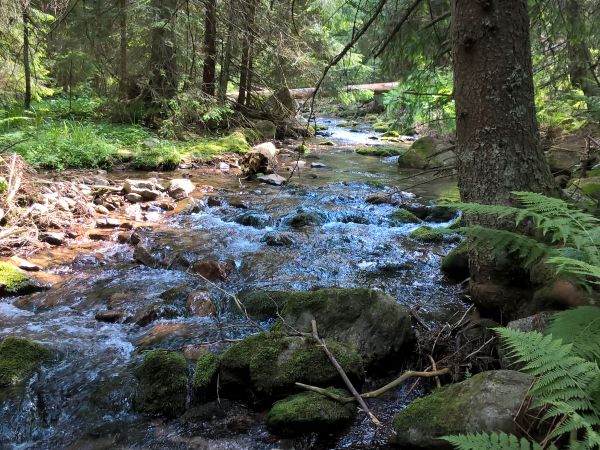 Uroki tatrzańskich dolin.