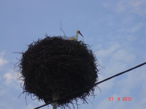 ...że co, proszę???