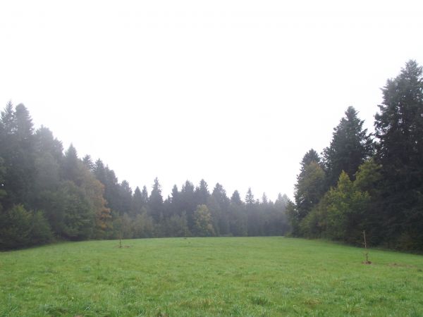 wspominane poletka żerowe i ogryzowe ale też są poletka produkcyjne - takie są cały czas niedostępne dla zwierzyny, dopiero zbiory z nich przeznaczone są na zim