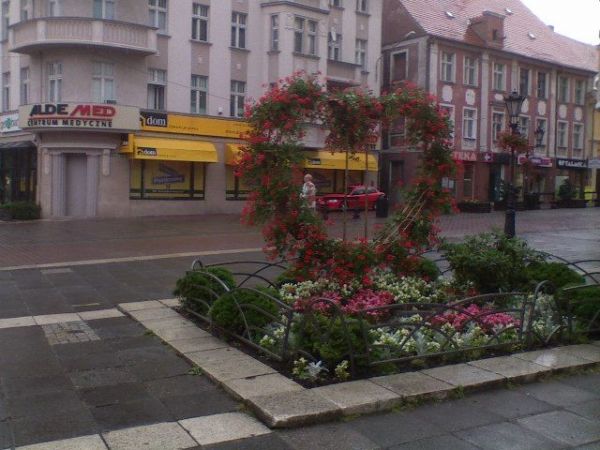 zdjecie Zielona Góra