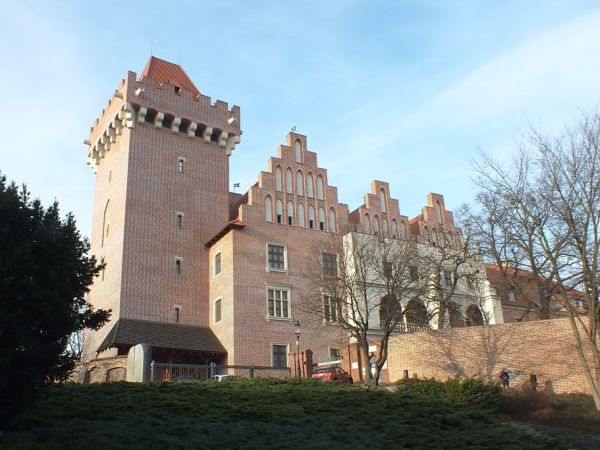 Zrekonstruowany zamek królewski