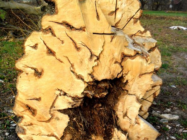 Przyczyna zmiany scenerii.