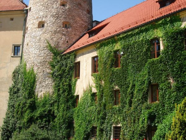 W latach 1542-1580 gotycki zamek przekształcono w renesansową rezydencję. W XVII wieku, za czasów Michała Zebrzydowskiego dobudowano system fortyfikacji bastion