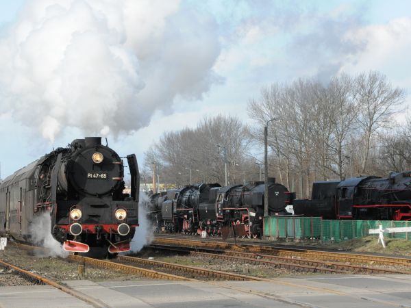 Wolsztyn, Planowy pociąg do Poznania prowadzony przez historyczny parowóz z Wolsztyńskiej Parowozowni - jedynej czynnej
w Europie.