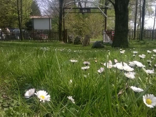 Jodłownik, Baza Paralotniowa "Bielik"