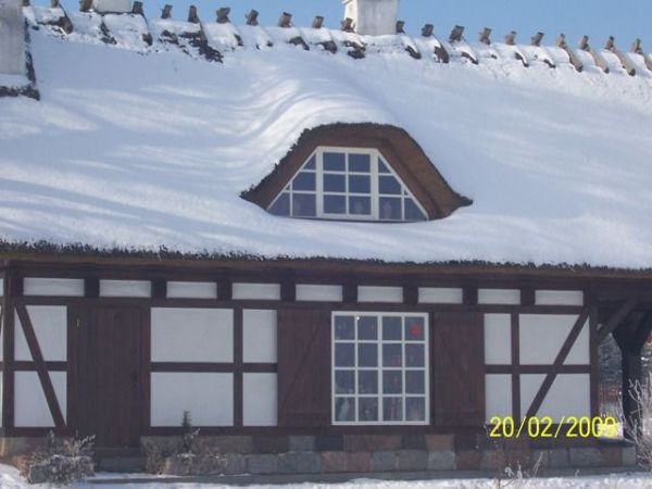 Tutaj dobrze i tanio karmią!!!