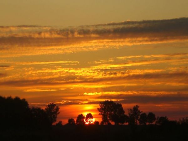 zdjecie Miękisz Stary