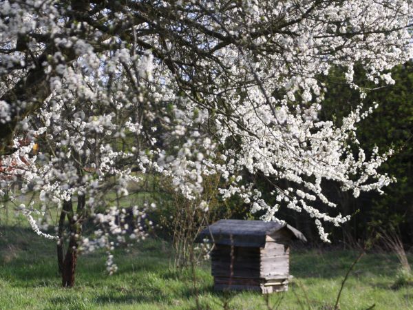 zdjecie Tyniewicze Duże