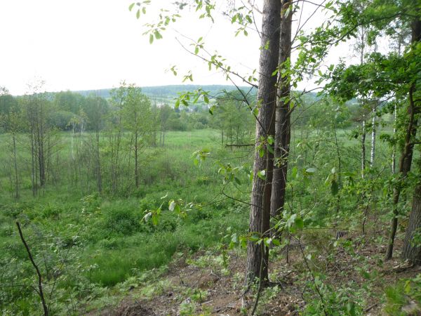 Kołomań, tereny nad Bobrzą.