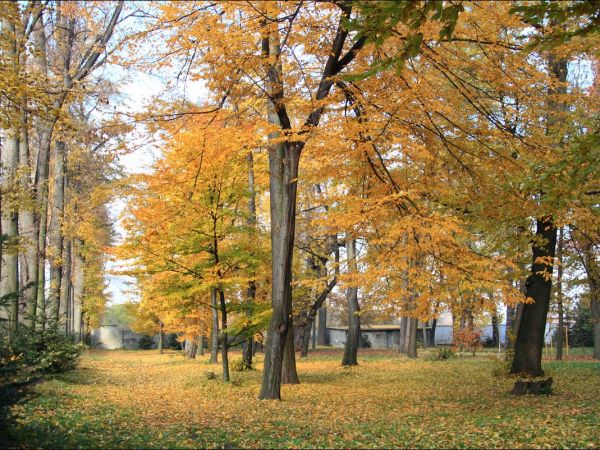 Klasztor i park  ss. Niepokalanek na Głębokiej.