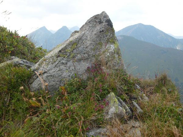 Tatry Zachodnie