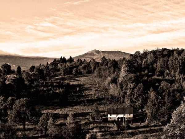 Widok na Szrenicę z Kopańca