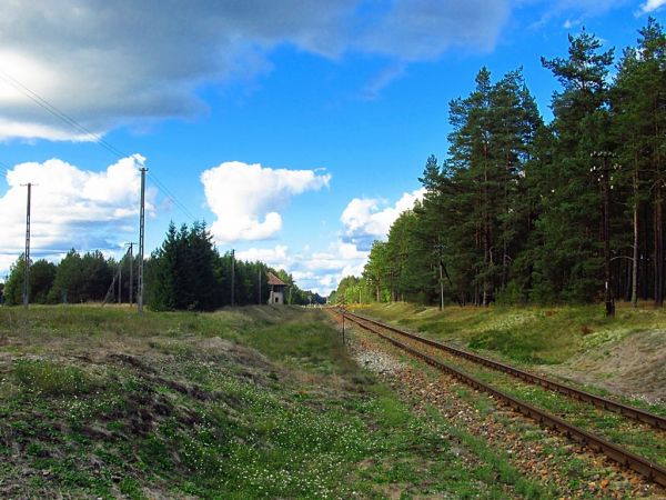 Na przejeździe kolejowym w Wojtalu - kierunek Gdynia