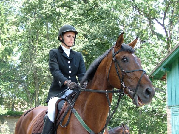 Ostatnie chwile przed zawodami jeździeckimi (21.080...