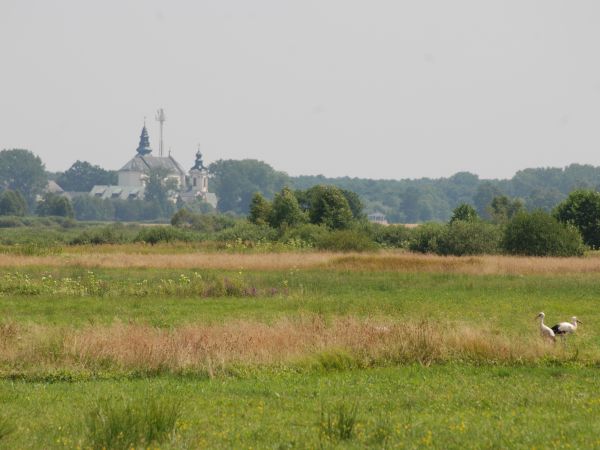 Kosciół Leśna Podlaska zdjecie zrobione z miejscowości Droblin