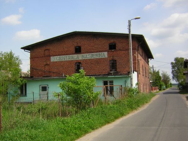 zdjecie Sulechów