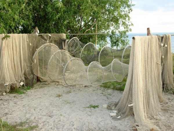 Sieci rybackie do połowów węgorzy.zdj J. Federowicz.